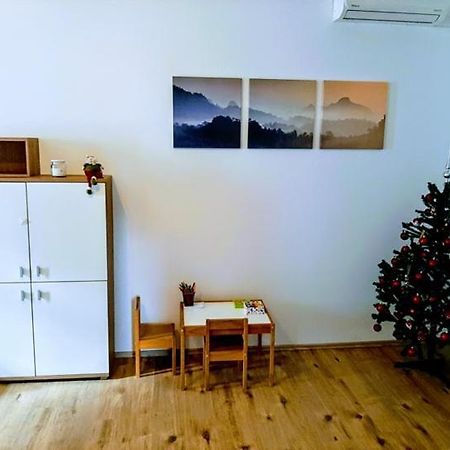 Zoe Apartment Марібор Екстер'єр фото